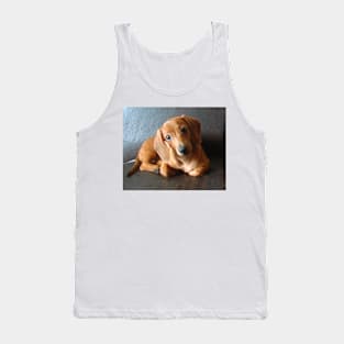 lily dachshund tekel puppy Tank Top